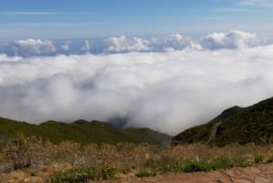 Madeira: Private Guided Achadas Teixeira - Pico Ruivo PR1.1