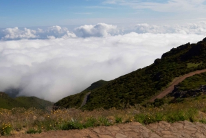 Madeira: Privat guidet Achadas Teixeira - Pico Ruivo PR1.1