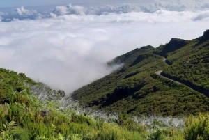 Madeira: Privat guidet Achadas Teixeira - Pico Ruivo PR1.1