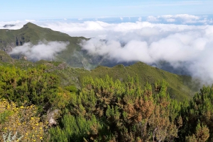 Madeira: Privat guidet Achadas Teixeira - Pico Ruivo PR1.1