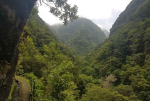 Madeira: Private Guided Castelejo Levada Walk