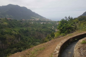 Madeira: Private Guided Castelejo Levada Walk