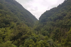Madeira: Private Guided Castelejo Levada Walk