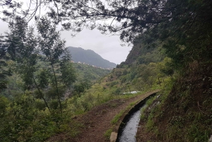 Madeira: Private Guided Castelejo Levada Walk