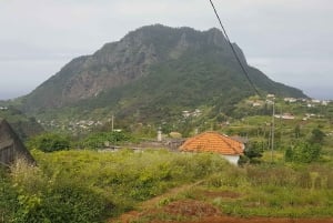 Madeira: Private Guided Castelejo Levada Walk