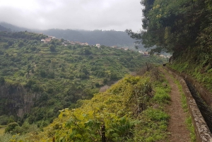 Madeira: Private Guided Castelejo Levada Walk