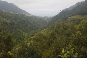 Madeira: Private Guided Castelejo Levada Walk