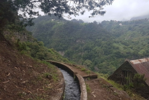 Madeira: Private Guided Castelejo Levada Walk