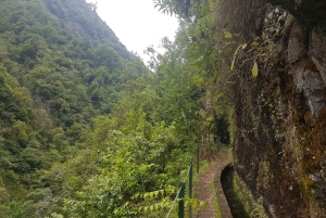 Madeira: Private Guided Castelejo Levada Walk