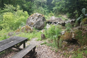 Madeira: Private Guided Castelejo Levada Walk