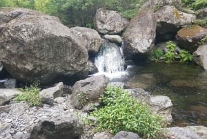 Madeira: Private Guided Castelejo Levada Walk