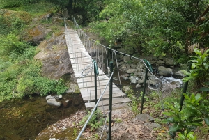 Madeira: Private Guided Castelejo Levada Walk
