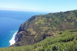 Madeira: Private Guided Half-Day Tour of Northwest Madeira