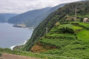 Madeira: Private Guided Half-Day Tour of Northwest Madeira