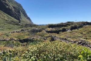 Madeira: Private Guided Half-Day Tour of Northwest Madeira