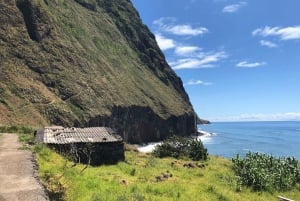 Madeira: Privat guidad halvdagsutflykt till nordvästra Madeira