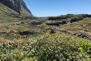 Madeira: Privat guidad halvdagsutflykt till nordvästra Madeira