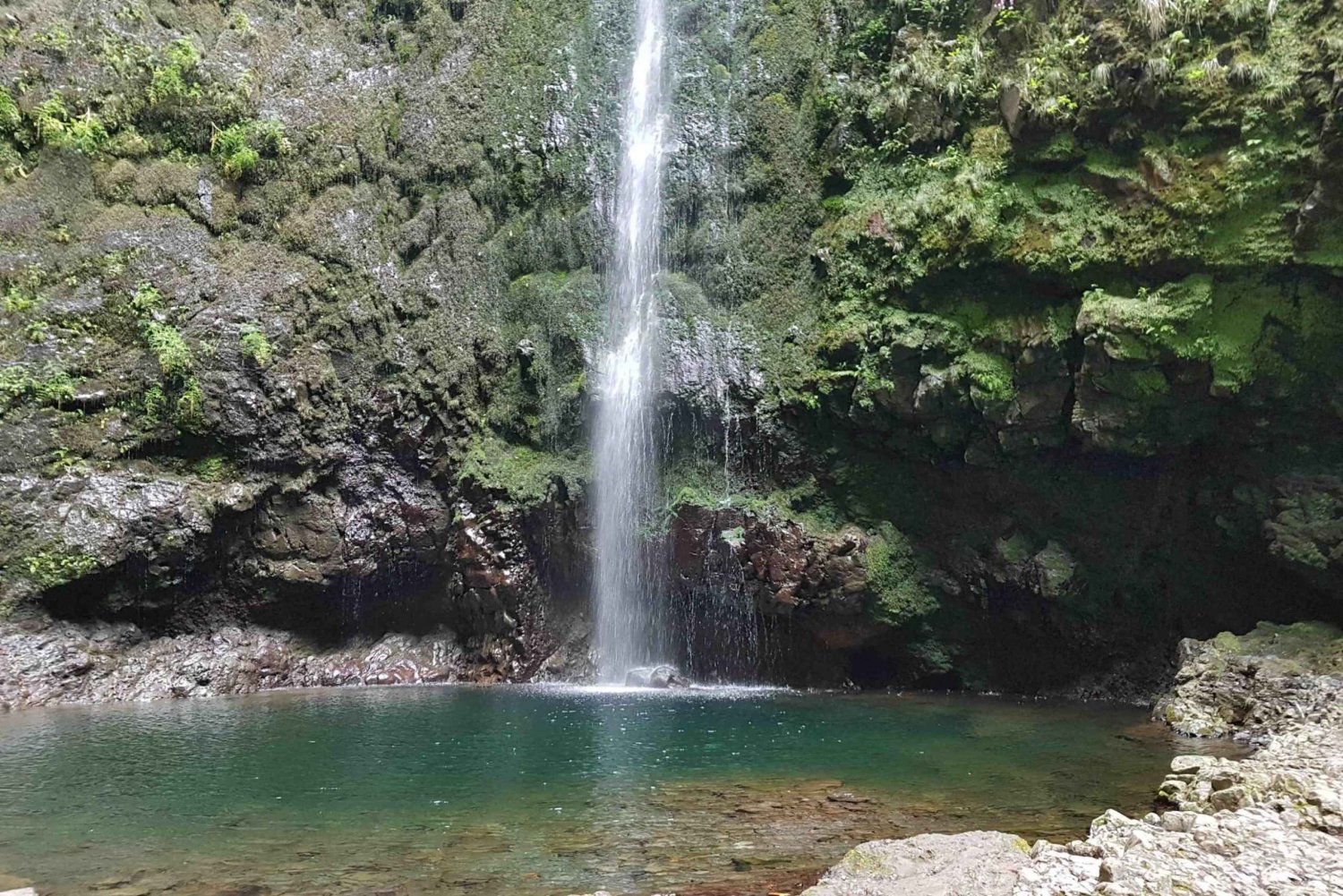 Madeira: Yksityinen opastettu Levada Caldeirão Verde -kävely PR9