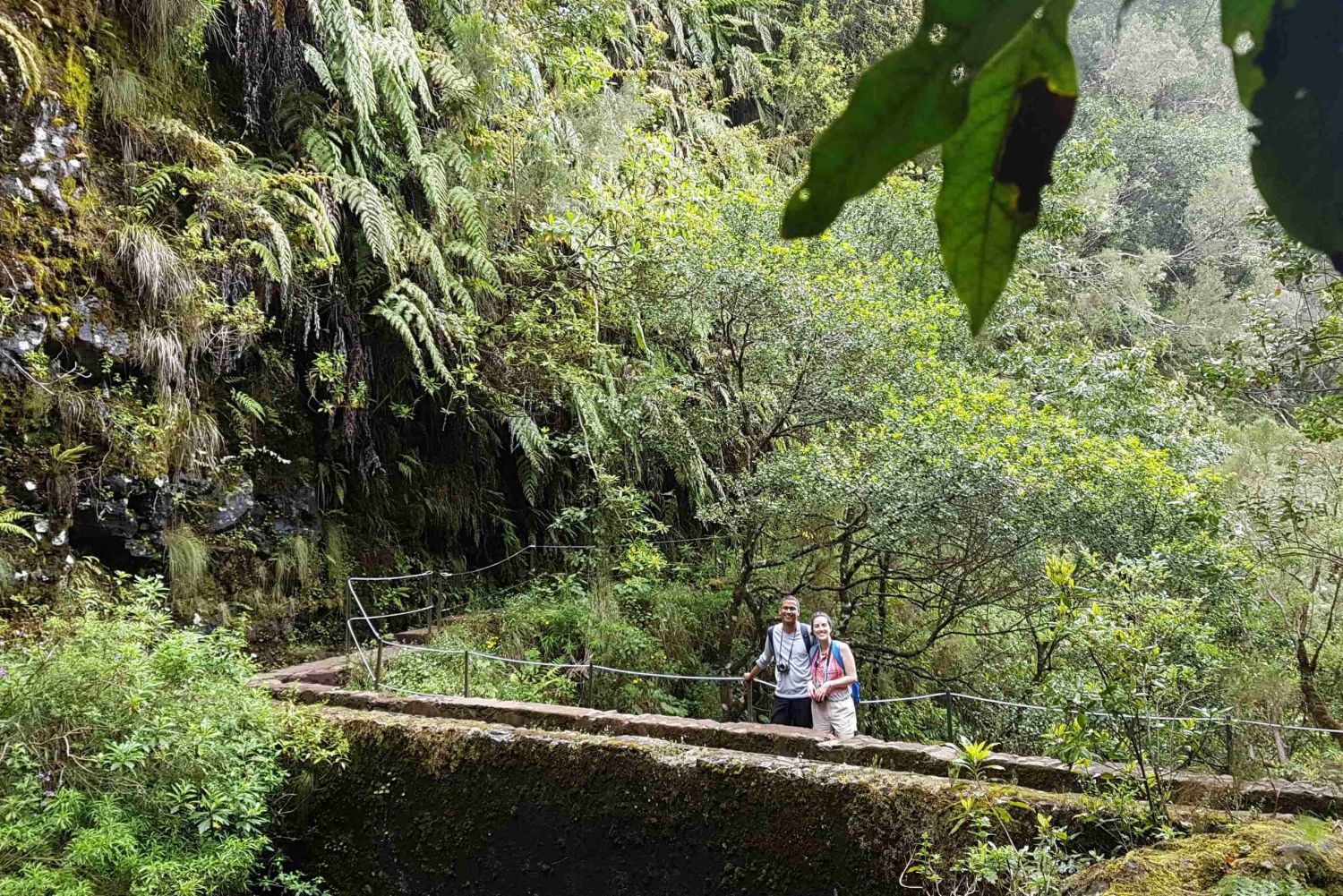 Madeira: Passeggiata privata guidata a Levada Caldeirão Verde PR9