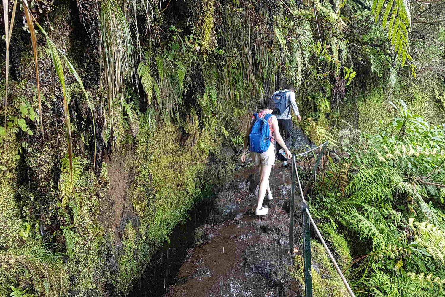 Madeira: Passeggiata privata guidata a Levada Caldeirão Verde PR9