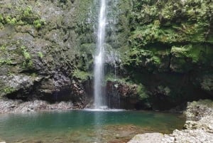 Madeira: Private Guided Levada Caldeirão Verde Walk PR9