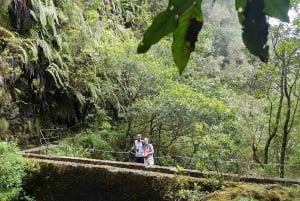 Madeira: Private Guided Levada Caldeirão Verde Walk PR9