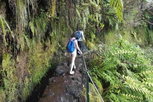 Madeira: Private Guided Levada Caldeirão Verde Walk PR9