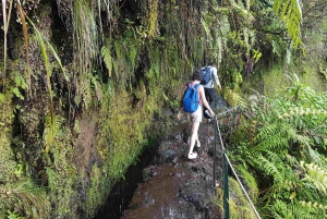 Madeira: Passeggiata privata guidata a Levada Caldeirão Verde PR9