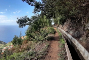 Madeira: Private Guided Levada do Norte Walk