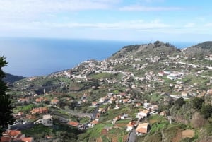 Madeira: Private Guided Levada do Norte Walk