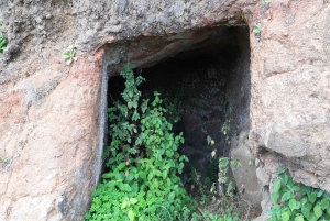 Madeira: Private Guided Levada do Norte Walk