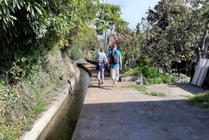 Madeira: Private Guided Levada do Norte Walk