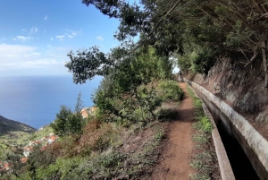 Madeira: Privat guidet Levada do Norte-vandring
