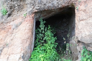 Madeira: Privat guidet Levada do Norte-vandring