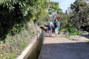 Madeira: Privat guidet Levada do Norte-vandring