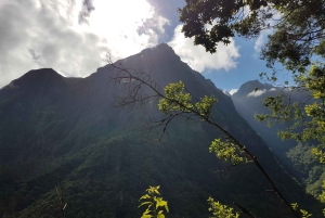 マデイラ島：プライベート ガイド付きレバダ ドス トルノス ボアベンチュラ ハイキング