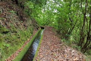 マデイラ島：プライベート ガイド付きレバダ ドス トルノス ボアベンチュラ ハイキング