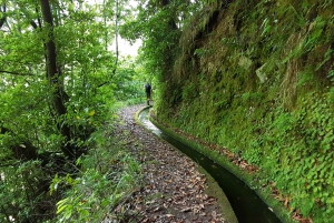 マデイラ島：プライベート ガイド付きレバダ ドス トルノス ボアベンチュラ ハイキング