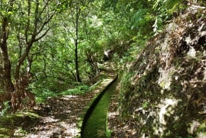 マデイラ島：プライベート ガイド付きレバダ ドス トルノス ボアベンチュラ ハイキング