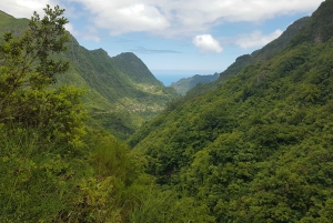 マデイラ島：プライベート ガイド付きレバダ ドス トルノス ボアベンチュラ ハイキング