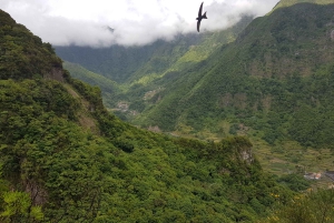 マデイラ島：プライベート ガイド付きレバダ ドス トルノス ボアベンチュラ ハイキング