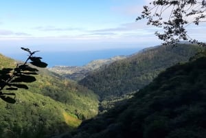 Madeira: Private Guided Levada Ribeiro Frio - Portela Walk