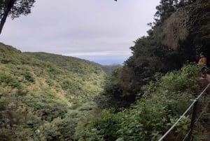 Madeira: Private Guided Levada Ribeiro Frio - Portela Walk