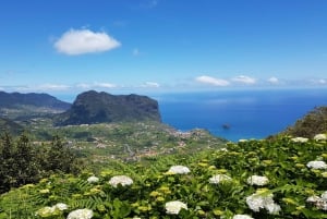 Madeira: Private Guided Levada Ribeiro Frio - Portela Walk