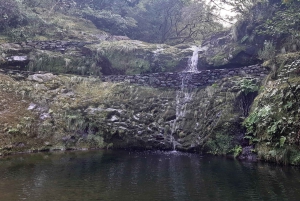 Madeira: Private Guided Levada Ribeiro Frio - Portela Walk