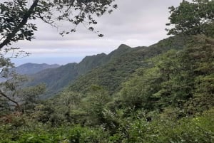 Madeira: Private Guided Levada Ribeiro Frio - Portela Walk