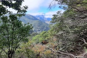 Madeira: Private Guided Levada Ribeiro Frio - Portela Walk