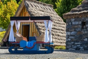 Madeira: Private Guided Madeira Theme Park Tour with Pickup