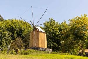 Madeira: Private Guided Madeira Theme Park Tour with Pickup