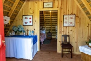 Madeira: Privat guidet tur til Madeira forlystelsespark med afhentning